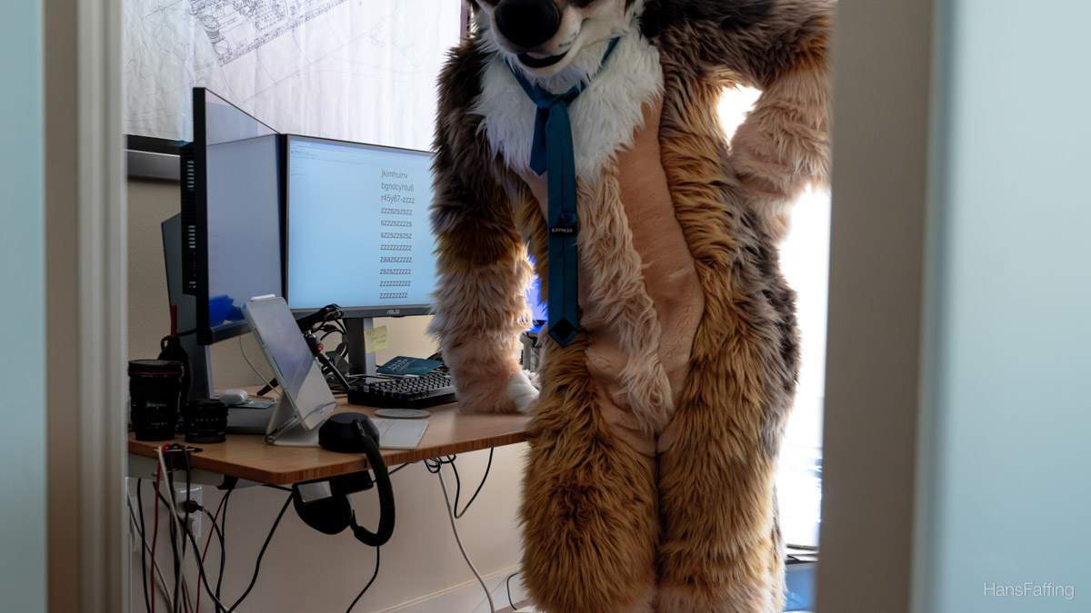 Hans looks at you and called you to his office